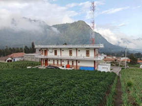 AAA, Astungkara, Amazing Bromo Villa, Managed by Triple A Tour, Additional Bromo Jeep Tour and Airport Shuttle